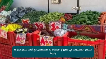 أسعار الخضروات في مطروح الأربعاء 20 أغسطس مع ثبات سعر خيار 15 جنيهاً